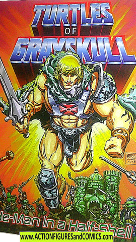 Masters of the Universe TURTLES of GRAYSKULL he-man comic