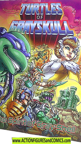 Masters of the Universe TURTLES of GRAYSKULL spirit he-man