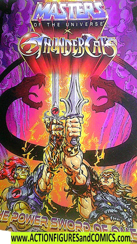 Masters of the Universe LION & HE-MAN Thundercats comic
