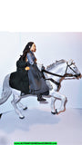 Lord of the Rings ARWEN & ASFALOTH horse steed stallion frodo toybiz