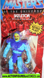 Masters of the Universe SKELETOR 2020 Origins walmart vintage retro he-man moc