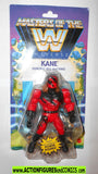 Masters of the Universe KANE WWF Demonic red machine he-man moc