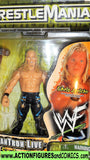 Wrestling action figures CHRIS JERICHO 1999 jakks titantron moc